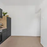 Apartments Villa Verde * Novigrad Istria